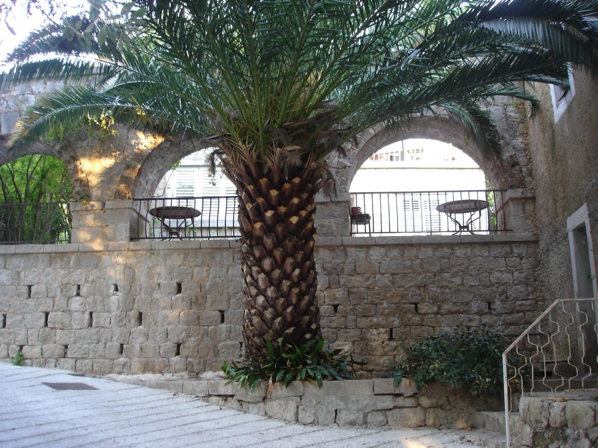 Villa Fede Mlini Exterior photo