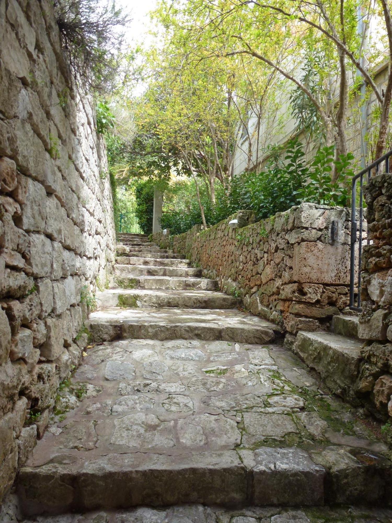 Villa Fede Mlini Exterior photo