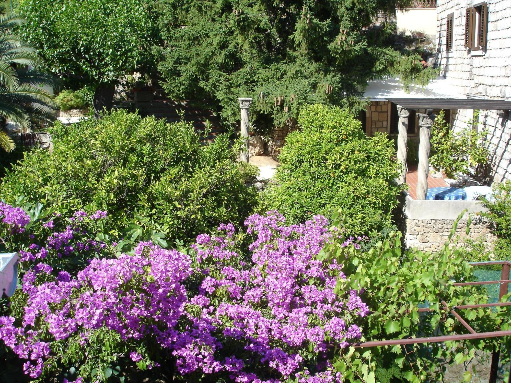 Villa Fede Mlini Exterior photo